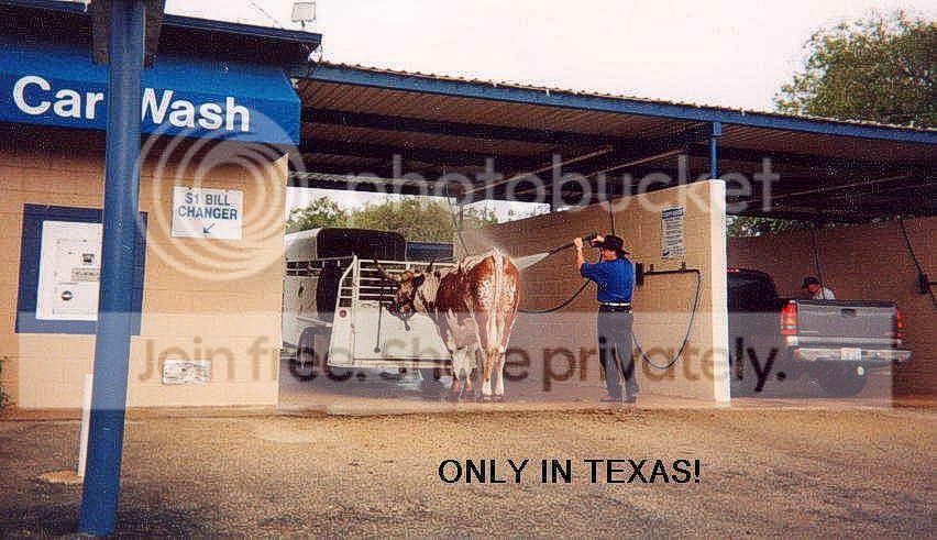 image008-4.jpg