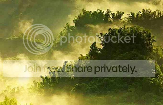 landscape_03.jpg