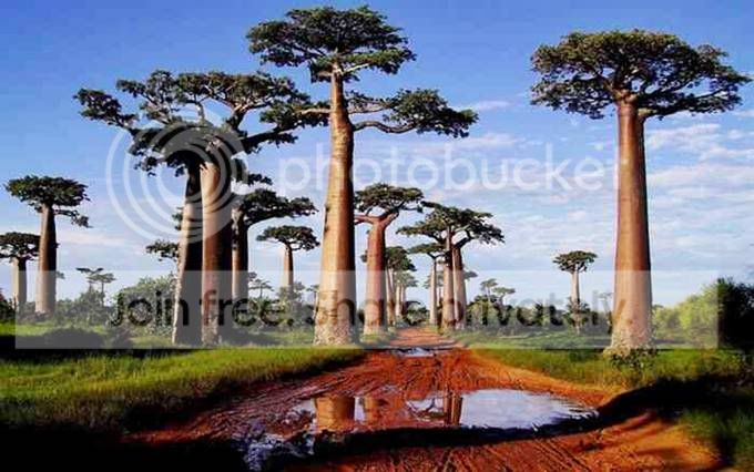 landscape_11.jpg