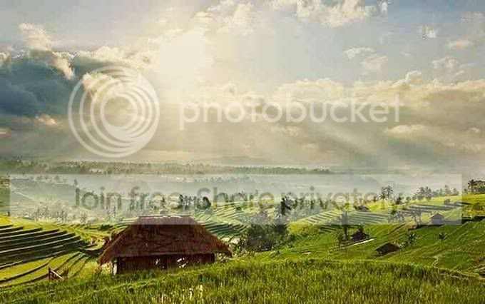 landscape_16.jpg