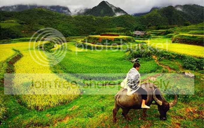 landscape_22.jpg