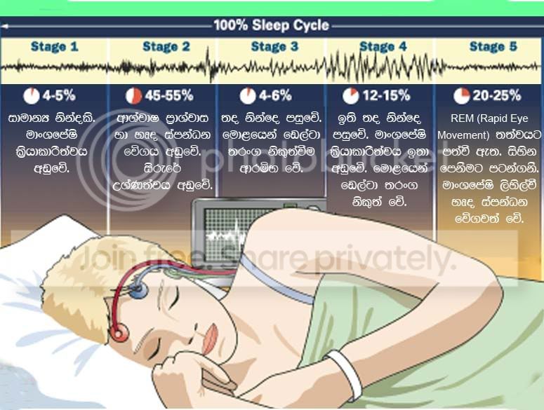 sleep5.jpg